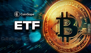 现货比特币TF：灰度资金流出放缓